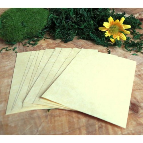 12 x Parchment Paper 70x50mm